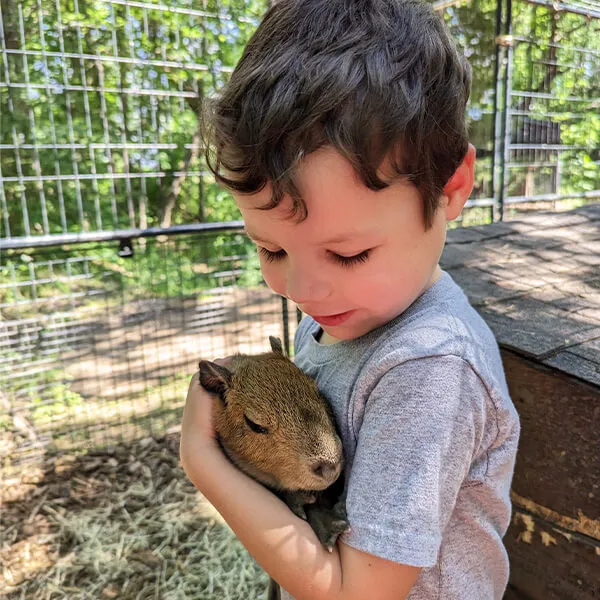 The Dunham Farm - Silkie Chickens, Bunies, and Petting Zoo